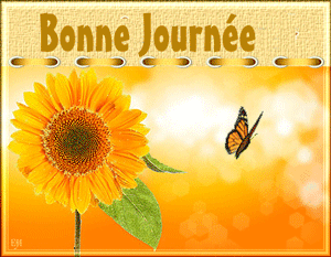 Gifs animés bonne journée papillons